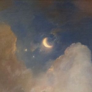 Meet your Posher, Laney